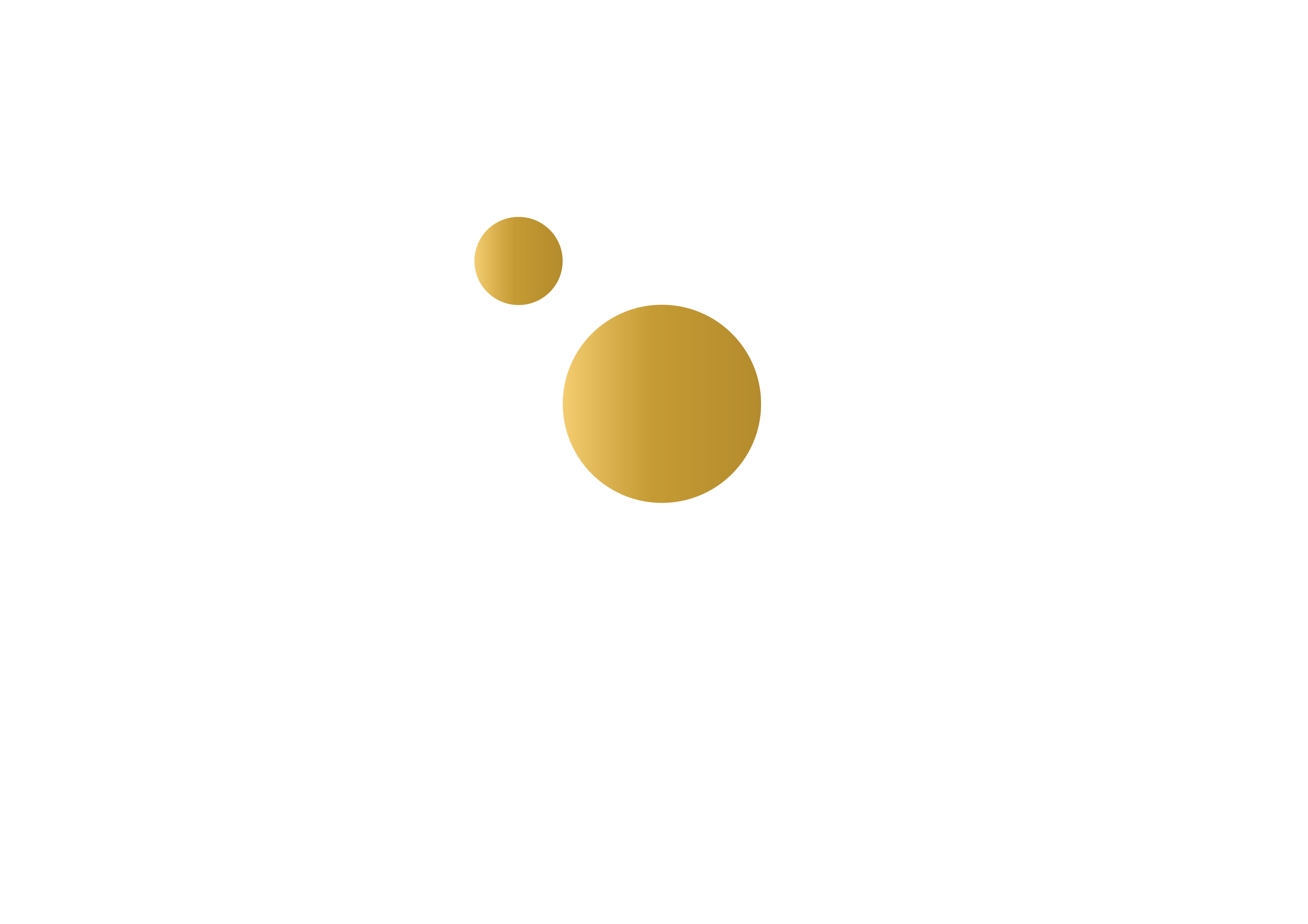 .gold studio digital | Marketing online dla świadomych marek | Dąbrowa Górnicza